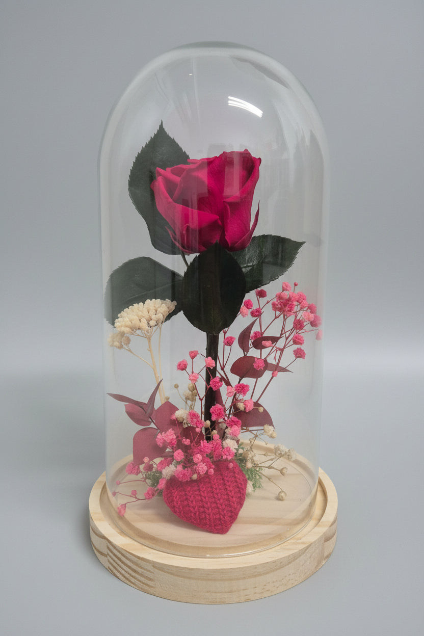 cupula-rosa-roja-preservada-l