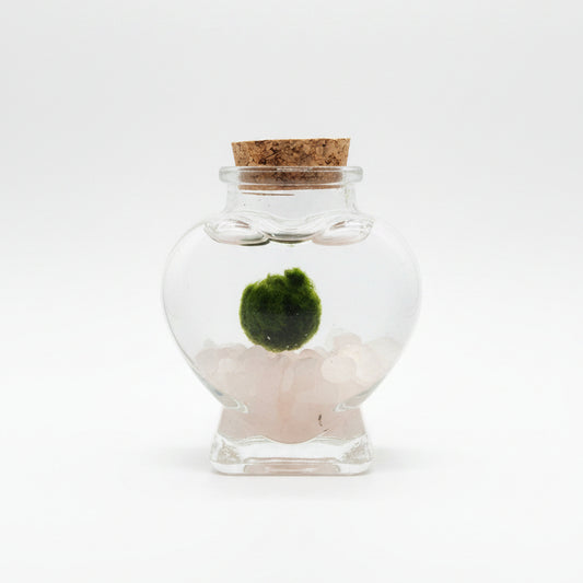 marimo love cuarzo rosa