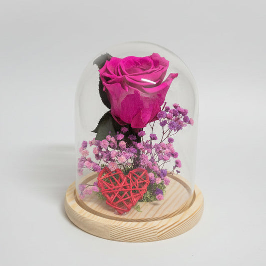 Cúpula rosa fucsia preservada con paniculata rosa elegante