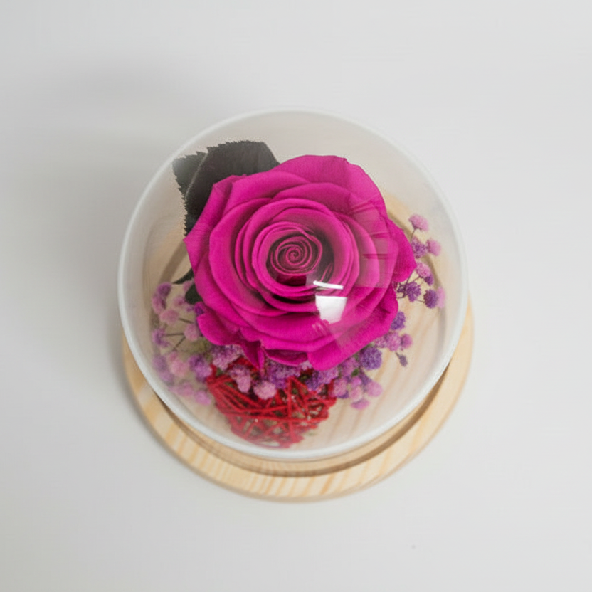 Flor preservada rosa fucsia en cúpula para regalar