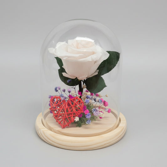 cupula-rosa-blanca-crema