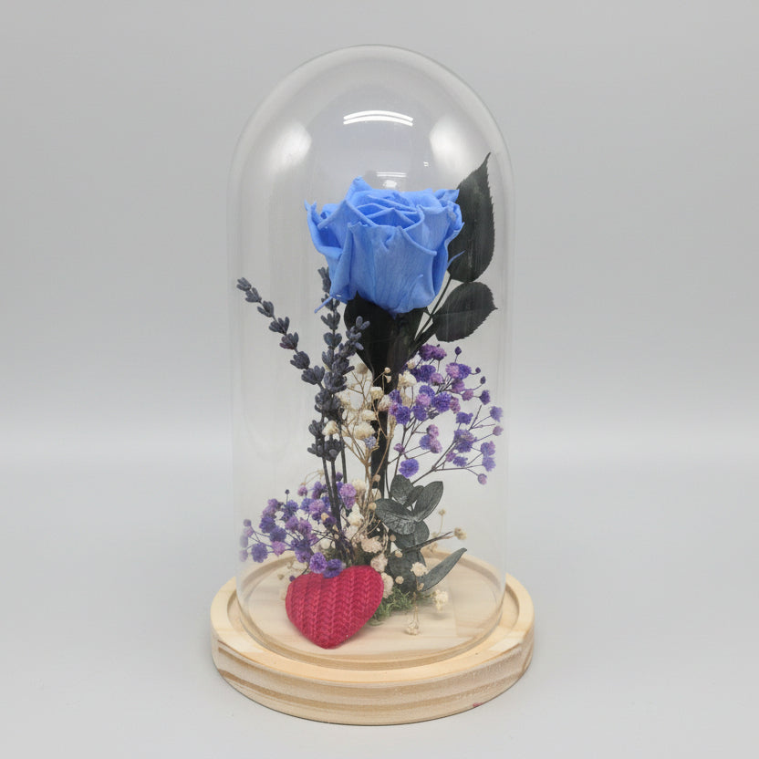 cupula-rosa-azul