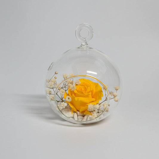 Cúpula con rosa amarilla y paniculata preservada elegante