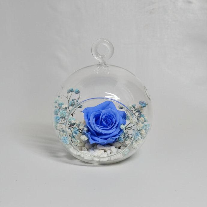 cupula-rosa-azul